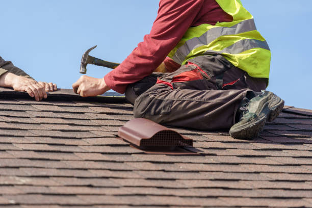 Best Roof Gutter Cleaning  in Ranchester, WY
