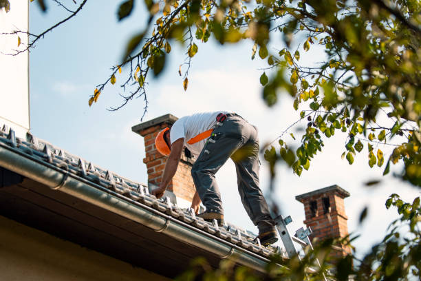 Quick and Trustworthy Emergency Roof Repair Services in Ranchester, WY